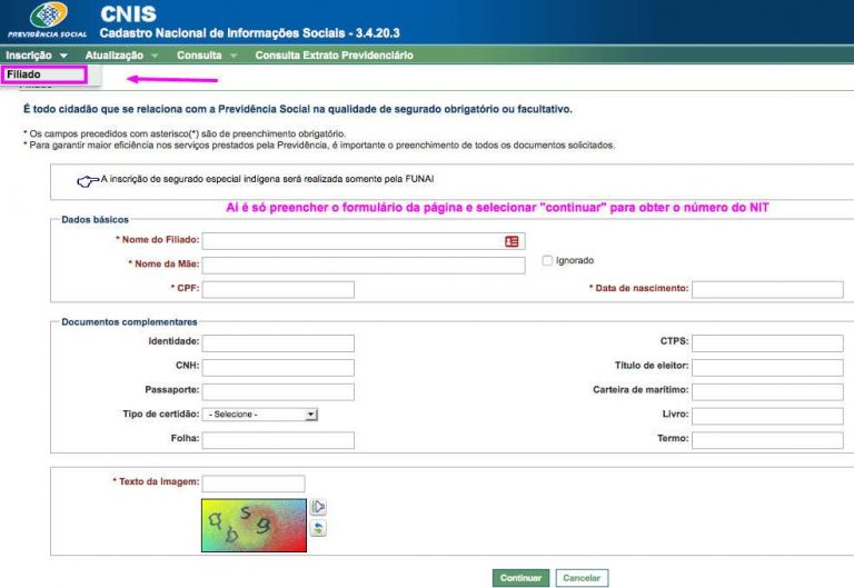 Nit Inss Como pagar o INSS como autônomo – Tutorial Completo - Conta-Corrente