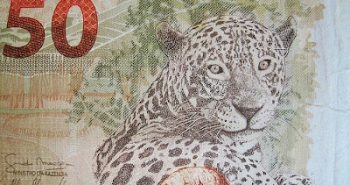 Nota de 50 reais brasileira