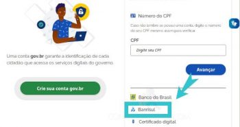 Tela de Login Único Gov.br com o Banrisul