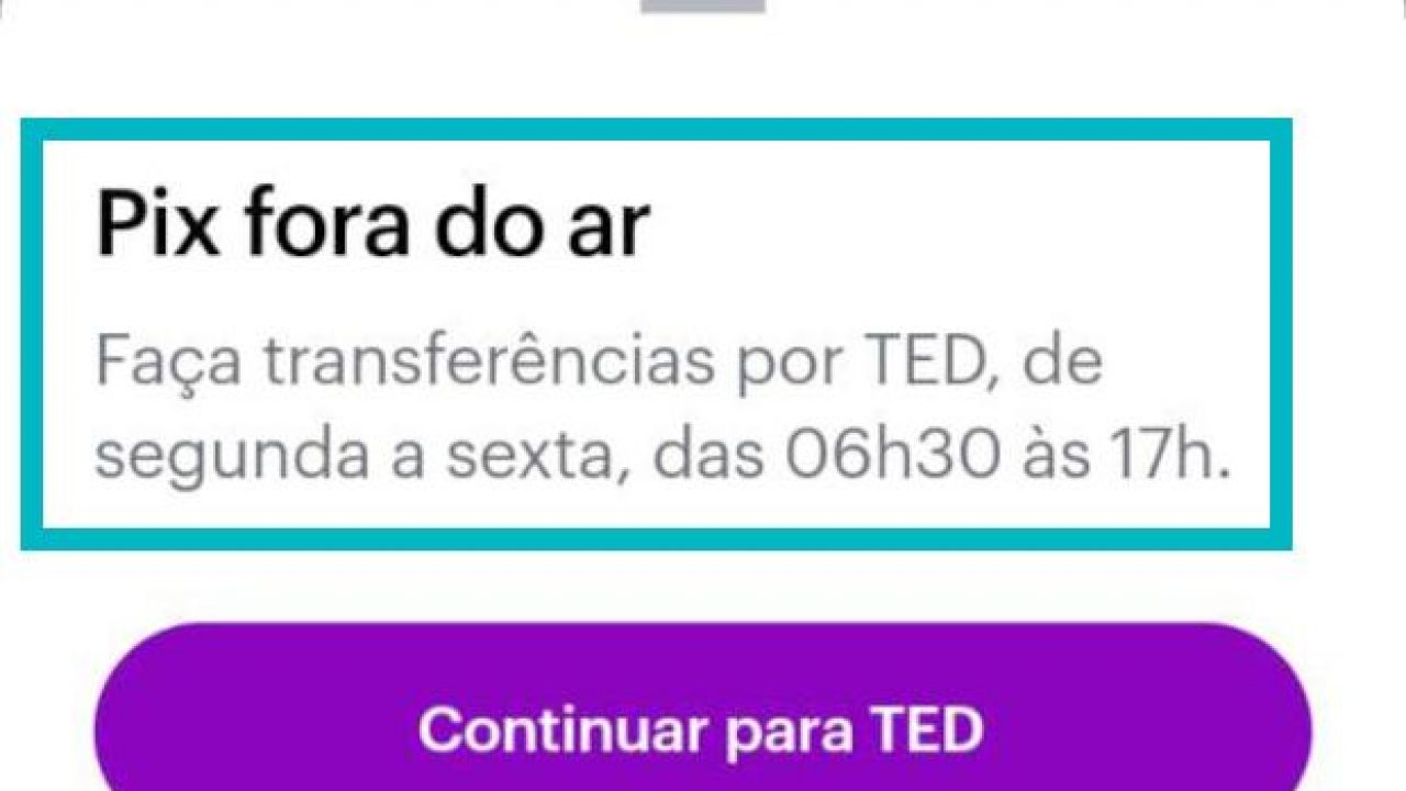 Erro ao comprar coisas no jogo com pix: erro na transação no free