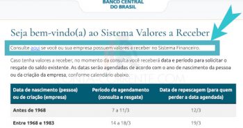 Tela pré consulta do SVR do Banco Central